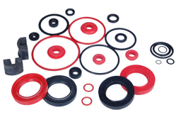 Oilseal and Rubber Rings
